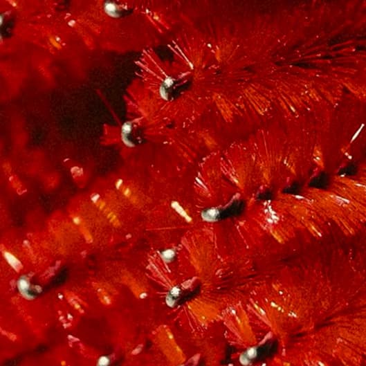 Luxury Lash Membership at Heavynlee Esthetics Spa in Holiday, FL